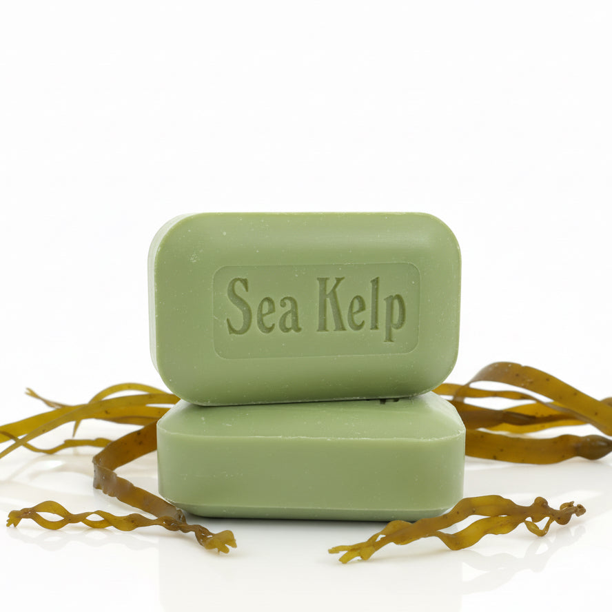 Sea Kelp