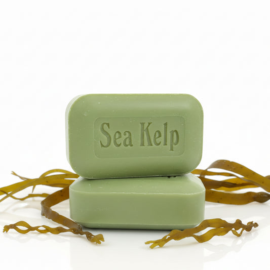 Sea Kelp