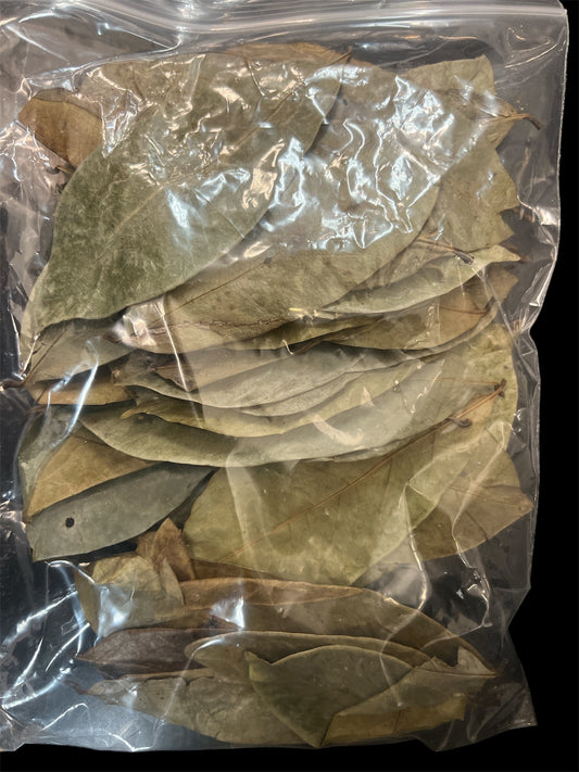 1oz. Soursop / Graviola