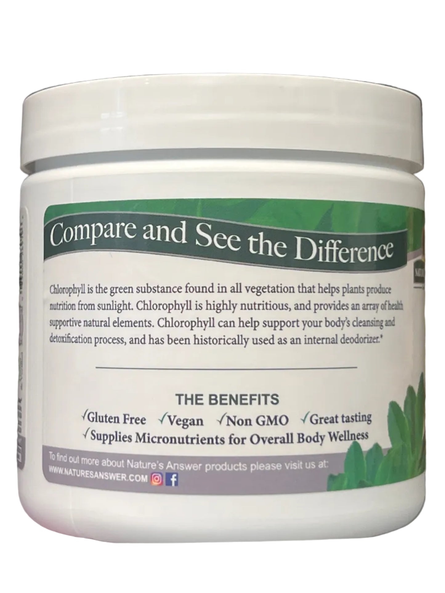 Chlorophyll Gummies