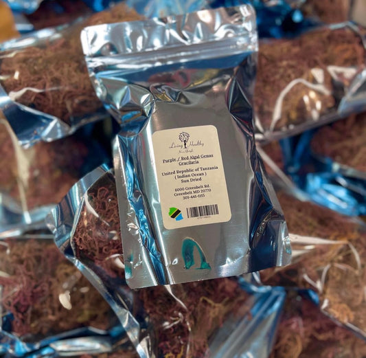 Purple / Red Algal Genus Gracilaria Sea Moss