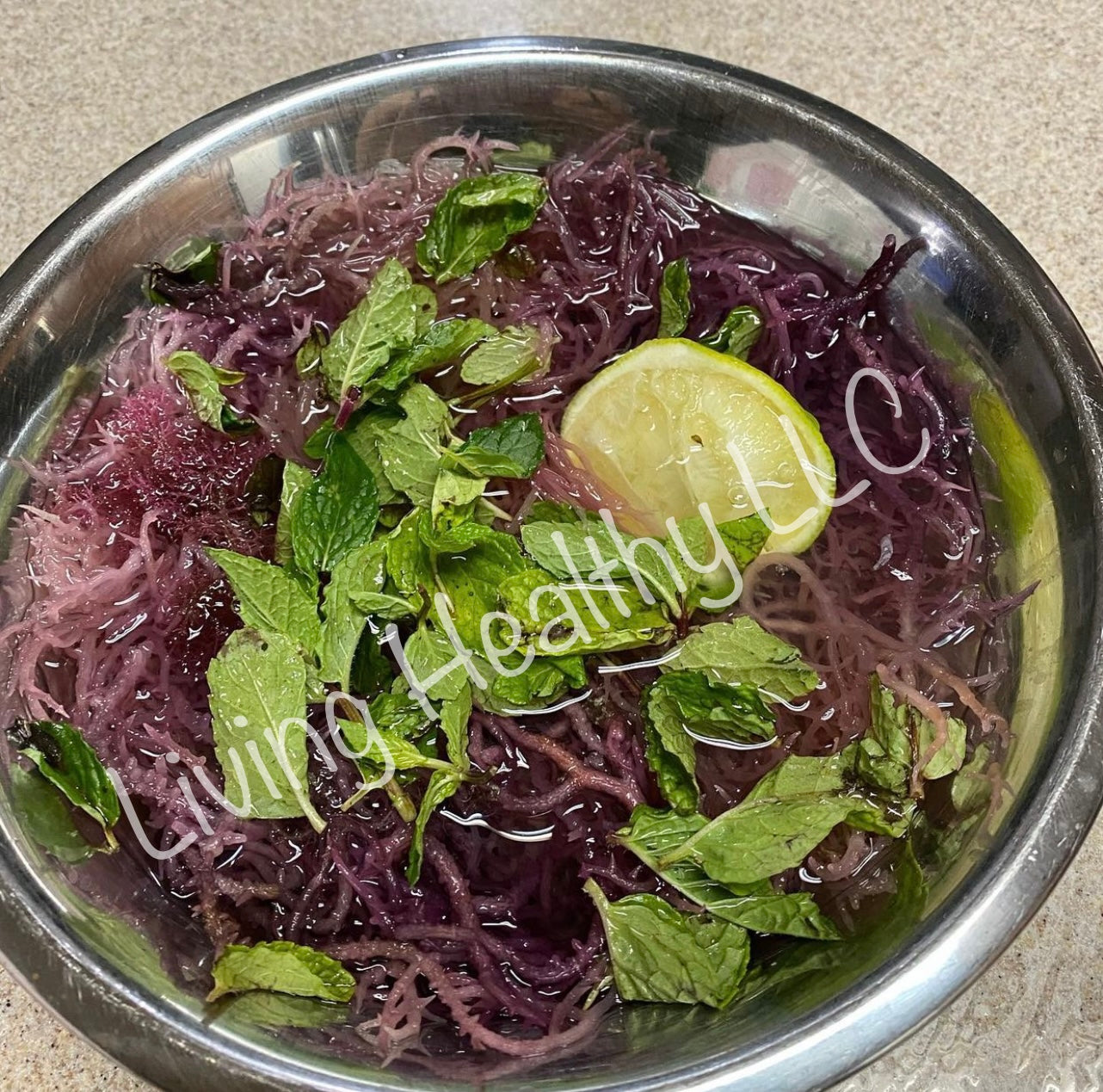 Purple / Red Algal Genus Gracilaria Sea Moss