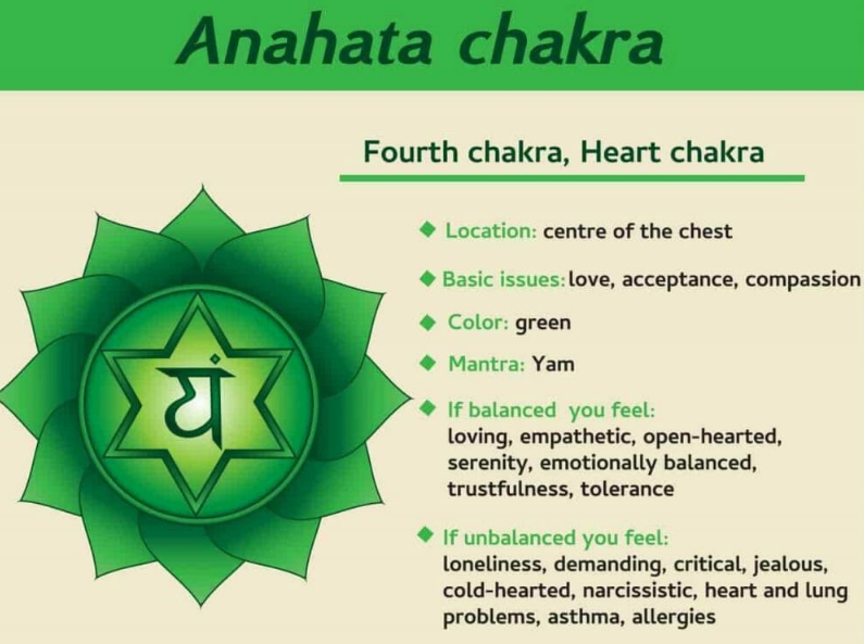 4th Chakra Tea - 18 Bags