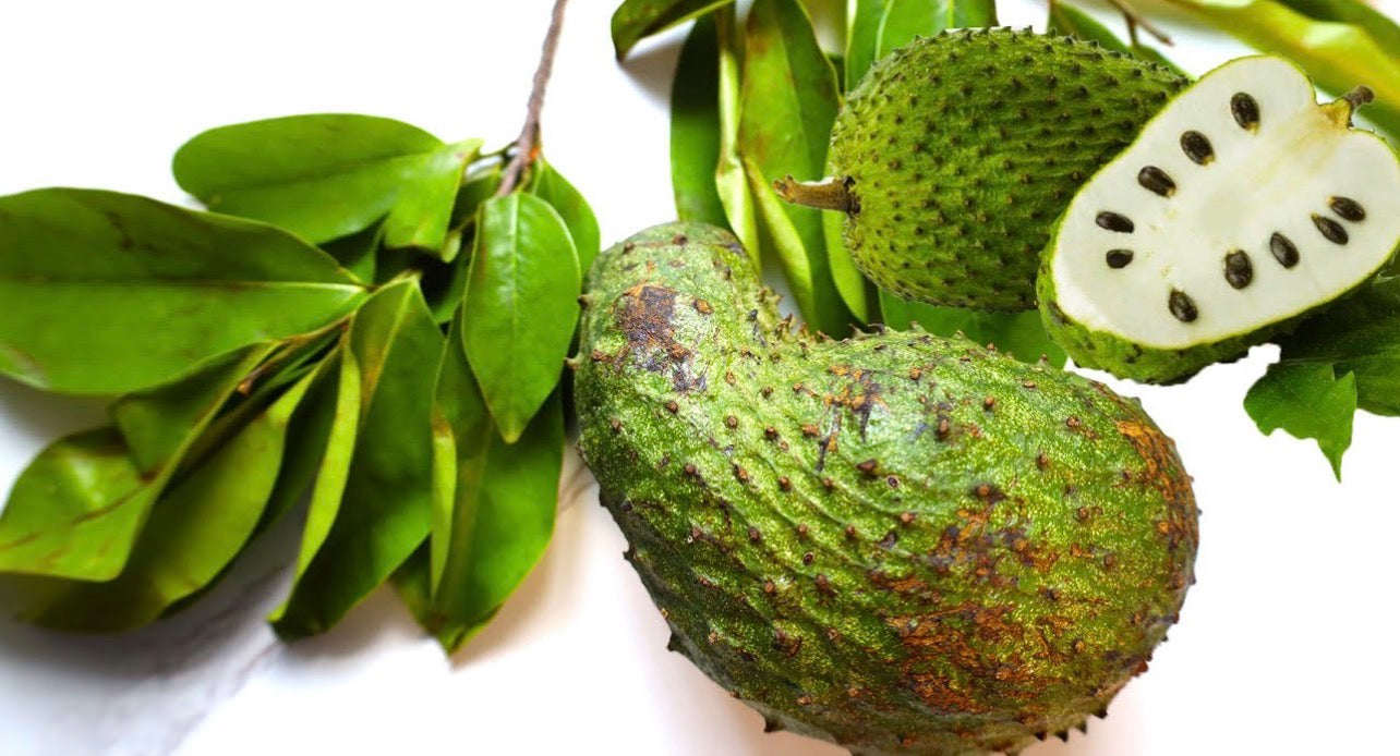 Soursop