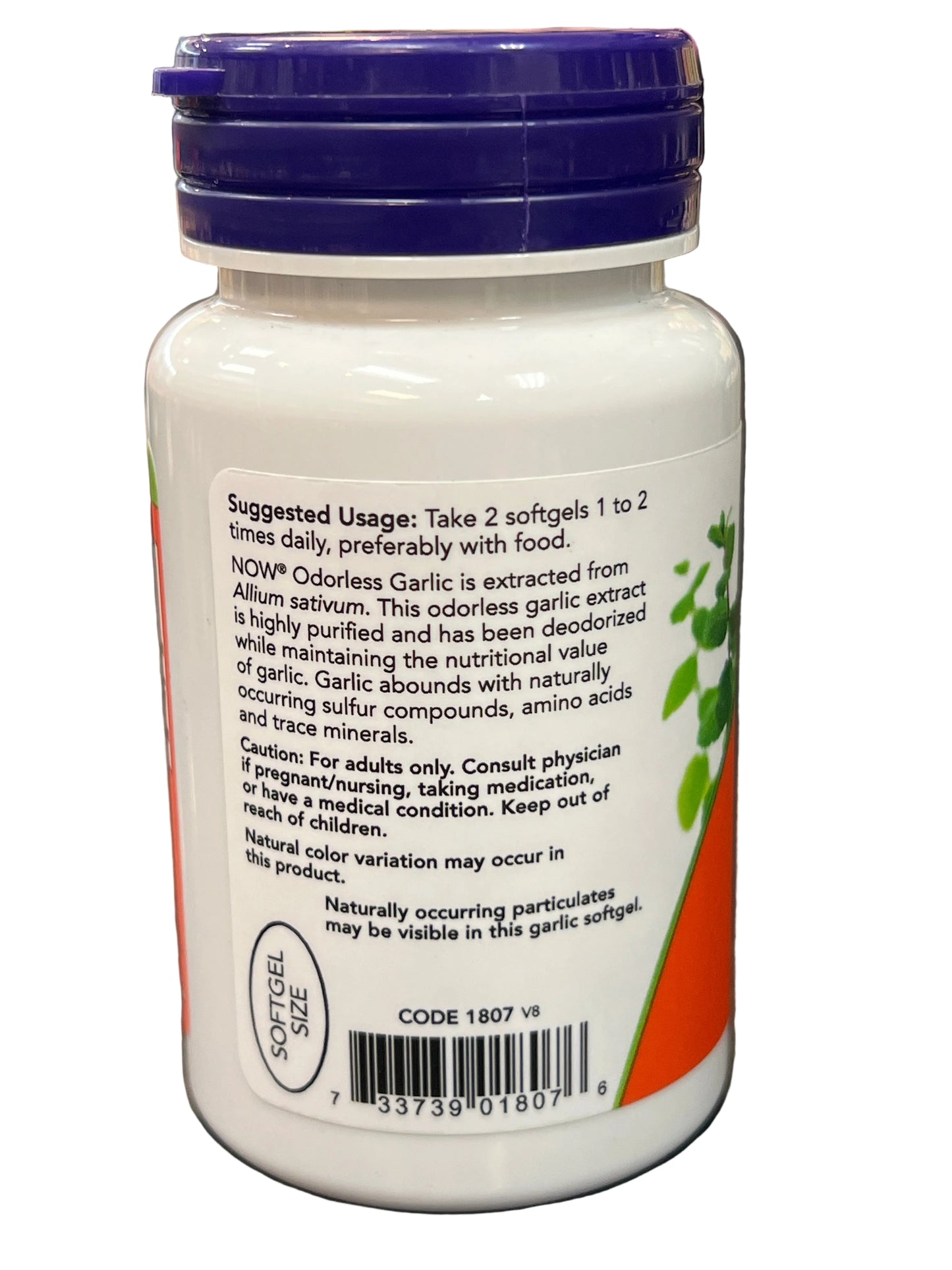 Odorless Garlic