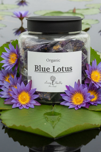 Blue Lotus